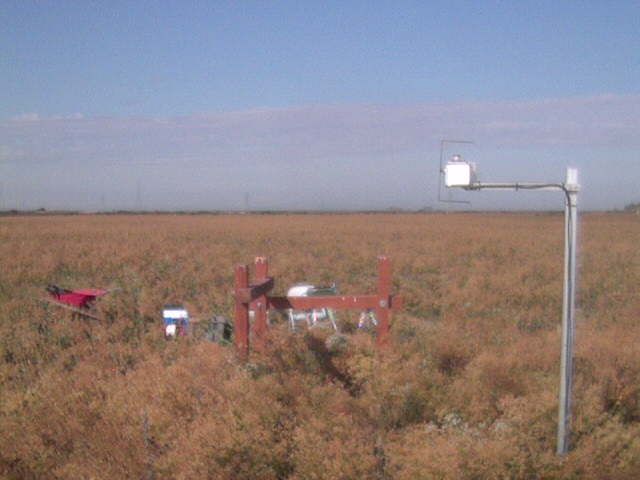 LI6400 in the field