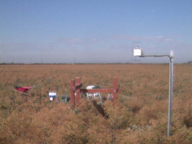 LI6400 in the field