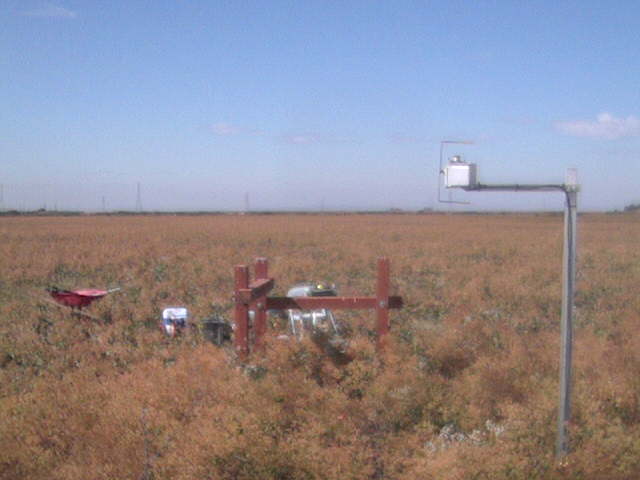 LI6400 in the field