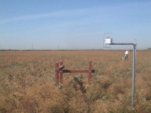 Ben in the field