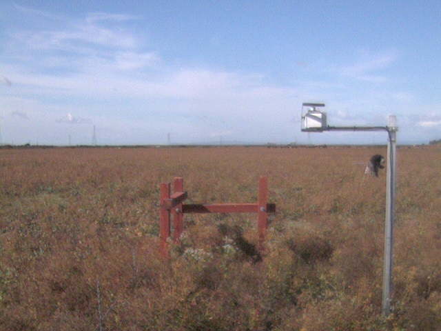 People in the field