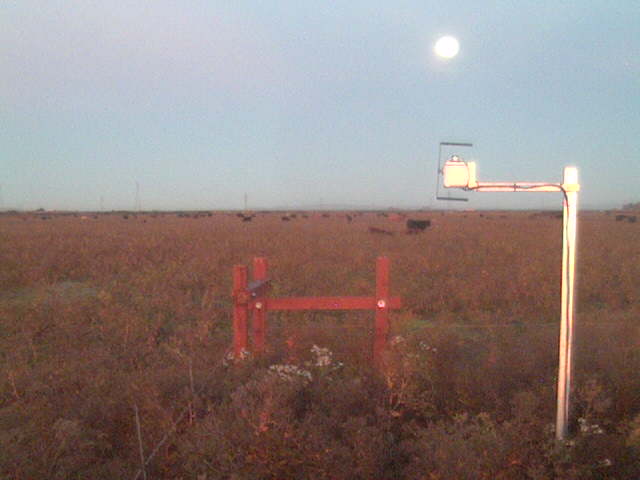 Morning moon