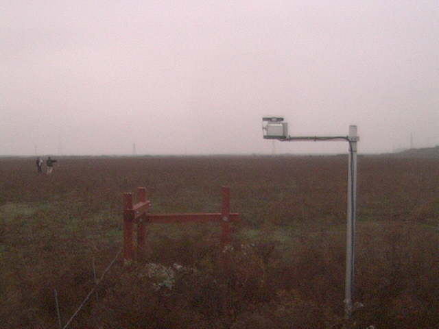 People in the field