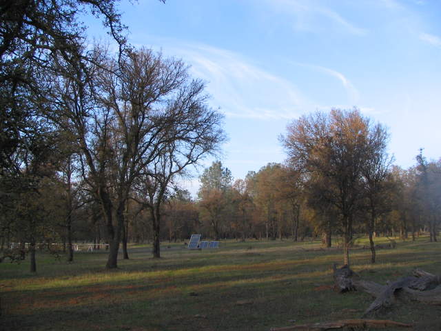 Solar panels at Tonzi late season