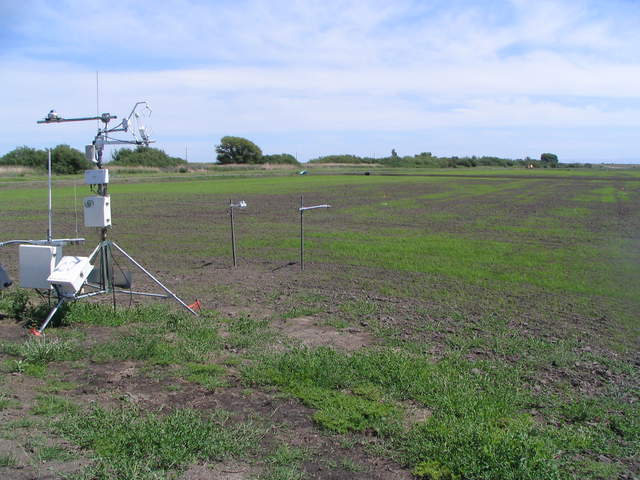 USGS eddy tower with new rice sprouting