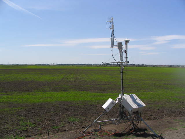 Eddy tower at edge of newly planted rice field