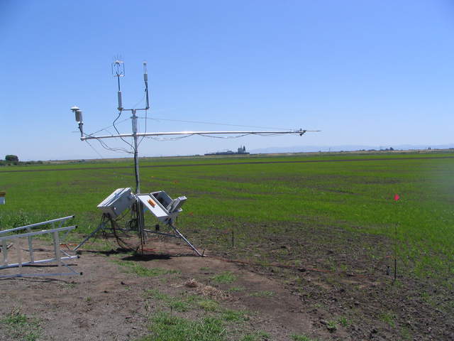 Eddy tower at edge of newly planted rice field