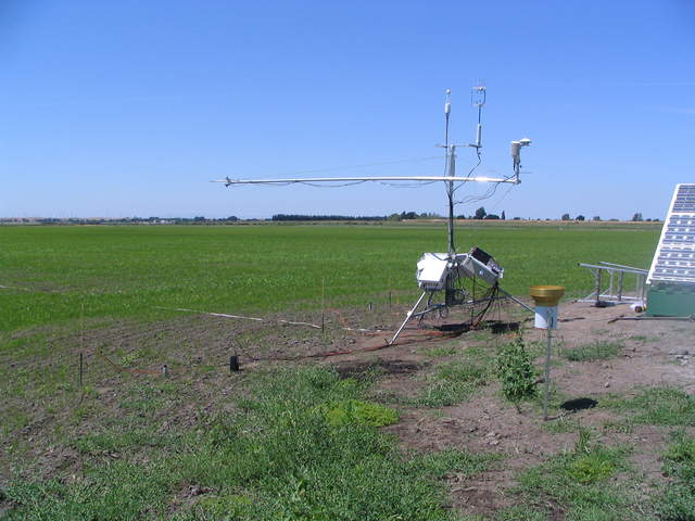 Ground sensors installed in the rice field before flooding