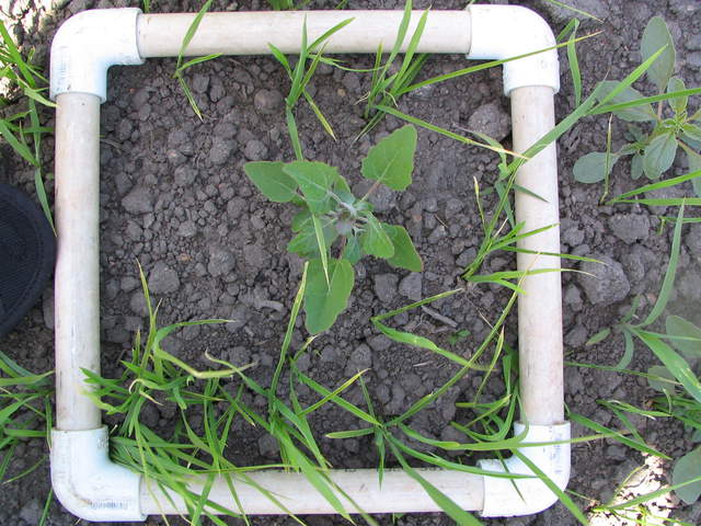 Example of clip plot square