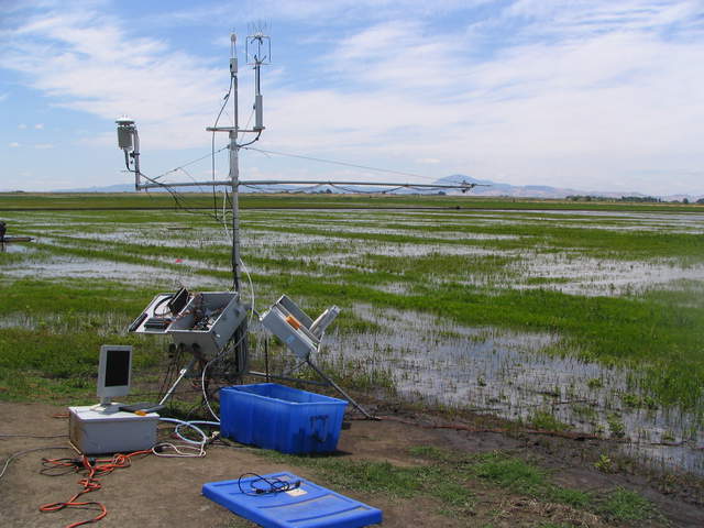 Eddy tower at rice field with LGR running