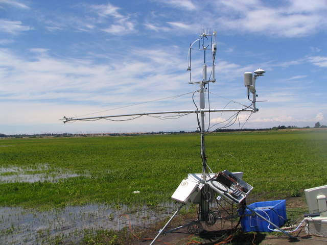 Eddy tower at rice field with LGR running