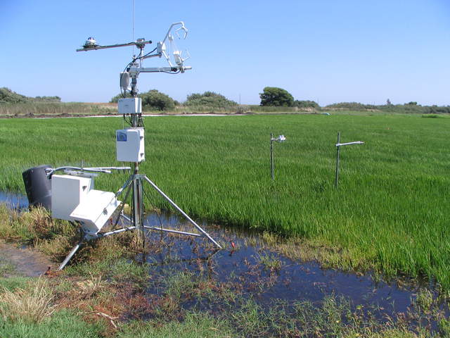 USGS eddy tower with lush rice