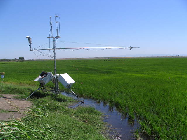 Rice eddy tower on the edge of the field