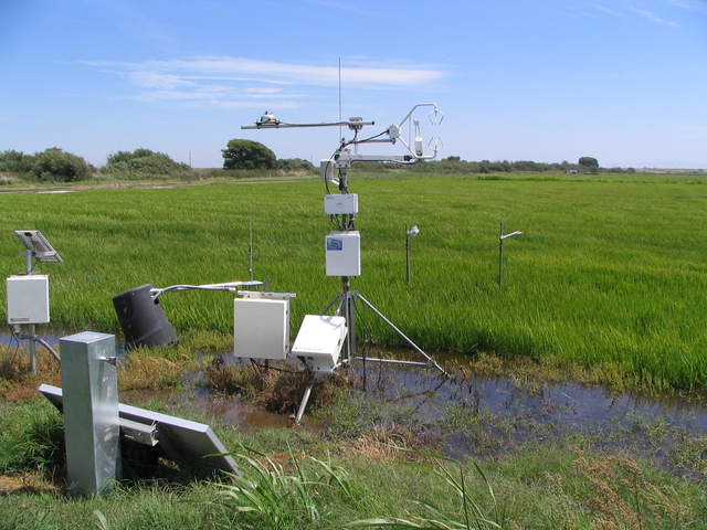 USGS eddy tower at the rice field