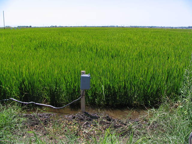 Power outlet at edge of rice paddy