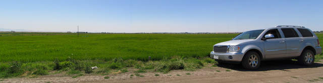 SUV on the edge of the rice field