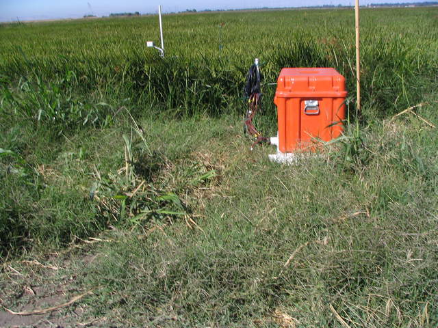 UC Davis leaf temperature and dew measurements