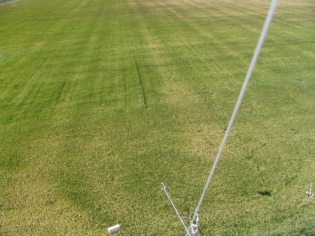 View of the rice field from the kite camera