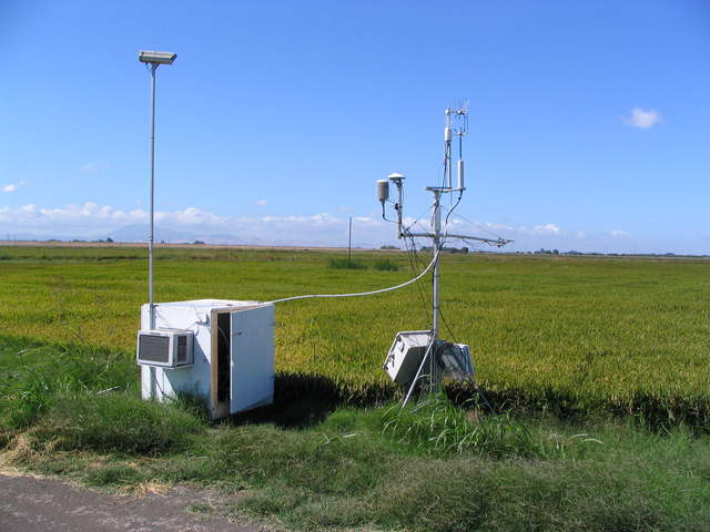 Eddy system at edge of rice field