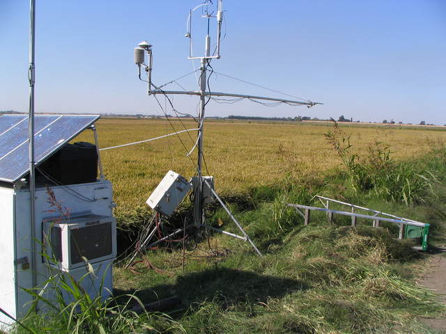 Weeds cleared from around eddy tower at the rice field