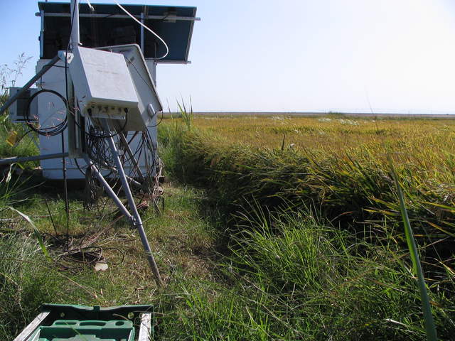 Base of eddy tower at the rice site