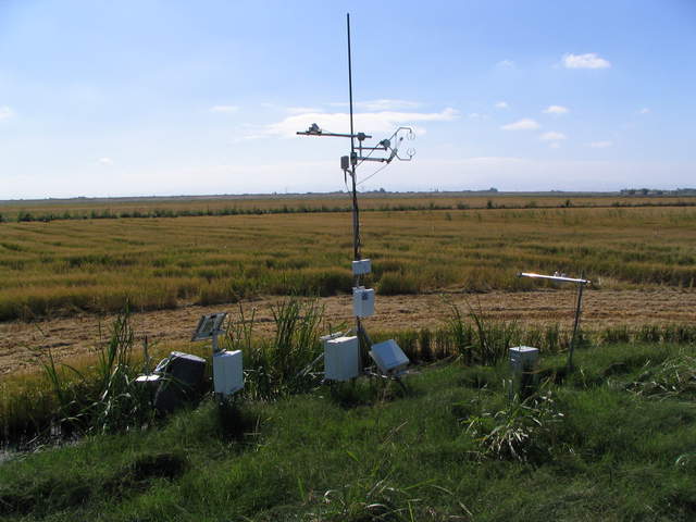 USGS eddy tower and harvested rice field