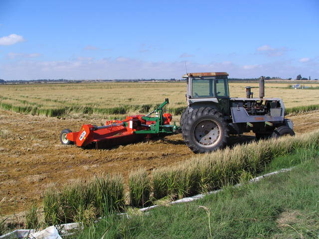 Tractor chopping rice straw