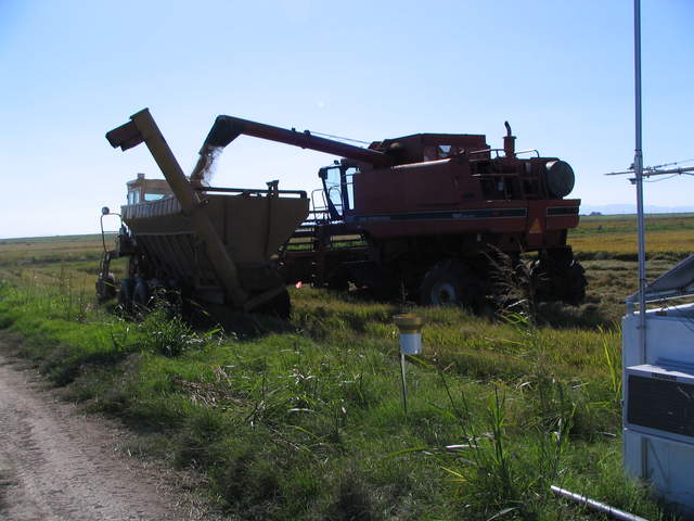 Rice harvester unloading