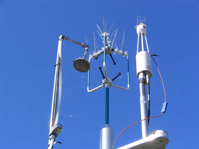 Spider webs on the eddy sensors
