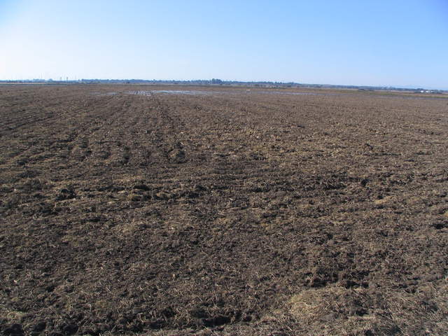 Some water ponding in the fallow rice field