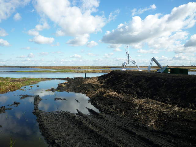 Eddy tower on levee over newly flooded wetland