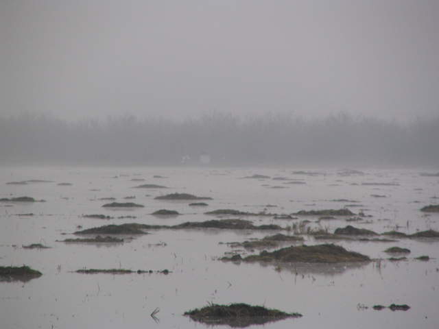 The rice tower across foggy flooded rice field