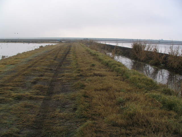 Flooding on both sides of the road at the edge of the rice field