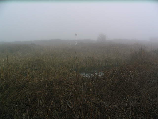 USGS East Pond tower in heavy fog