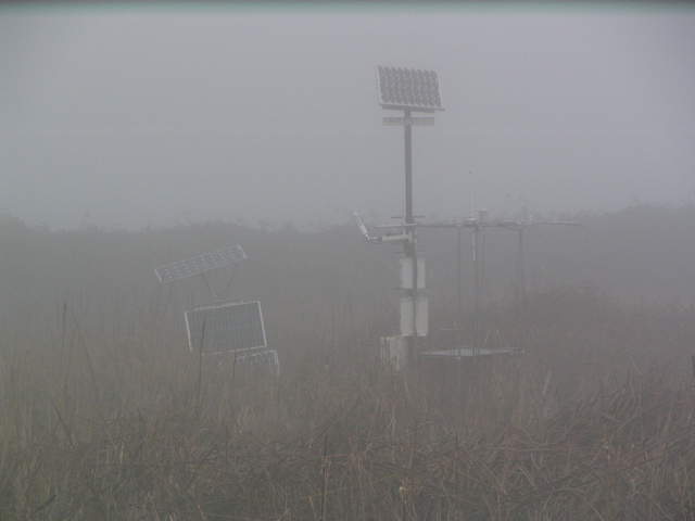 East Pond eddy tower in heavy fog