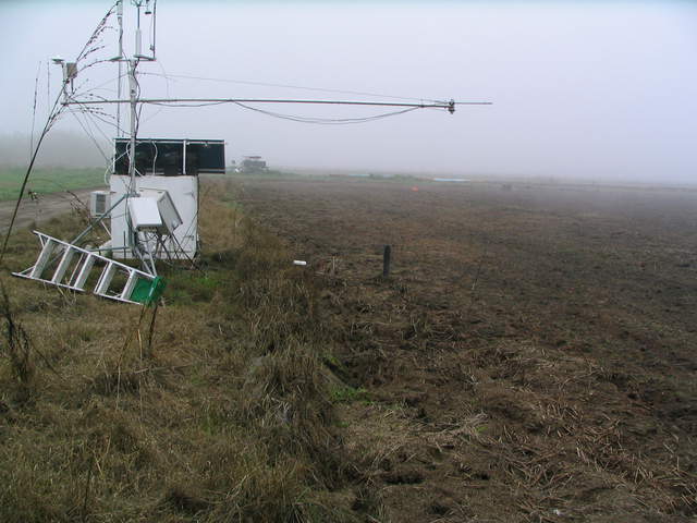 Eddy tower at edge of fallow rice field in the fog