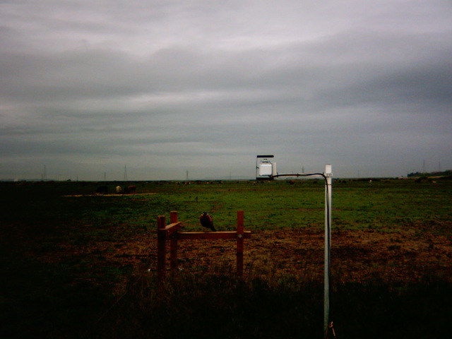 last image from SI_plantcam