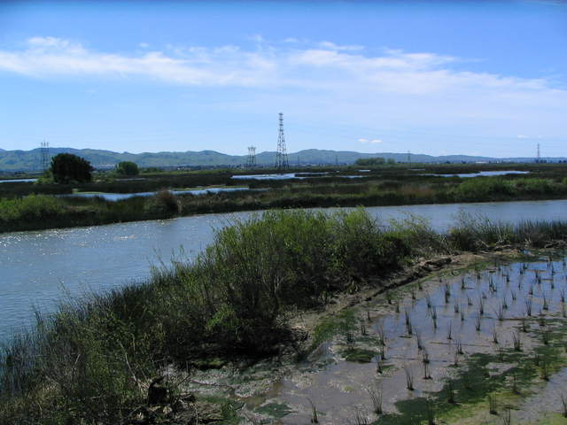 View to the west of levee tower