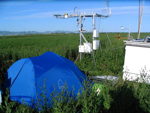 Picarro tent at the Sherman site