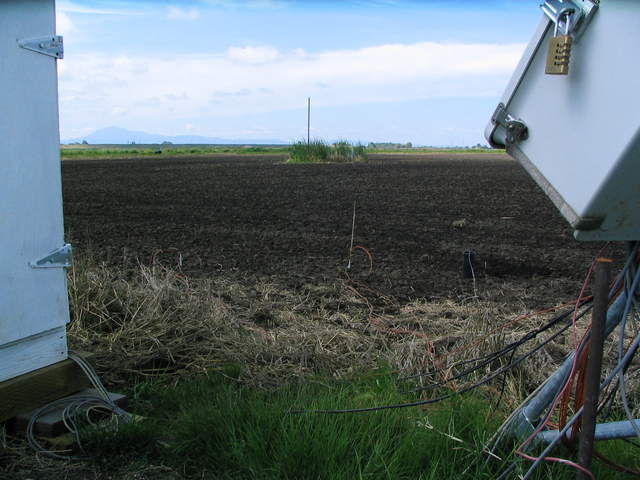 Ground sensors reinstalled in the rice field