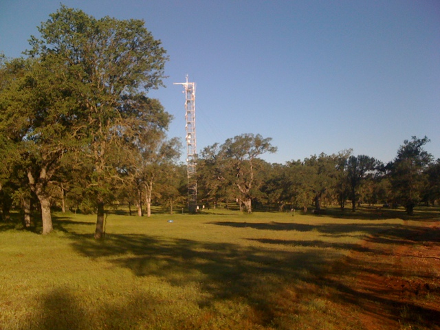 The Tonzi tower looking from the east