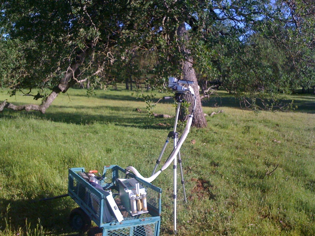 Licor 6400 doing leaf level measurements on oaks