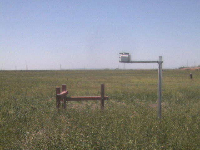 Someone doing fieldwork.