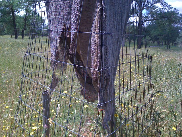 Broken burlap litter bag