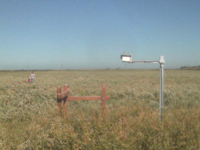Jaclyn in the field