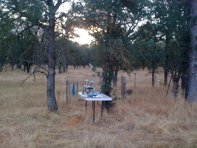 Leaf water potential measurement station