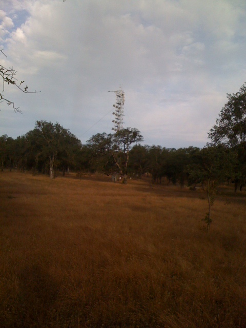 Main Tonzi tower at dawn