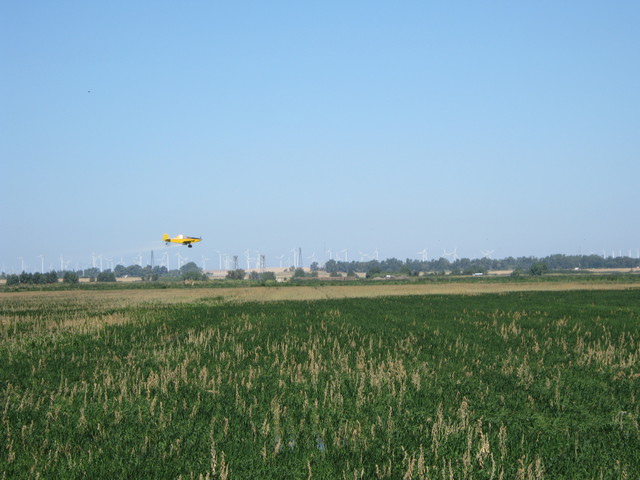 Crop duster over the rice fields