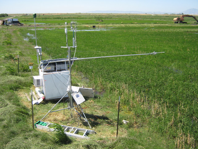 Eddy tower and equipment box at rice field secondary site