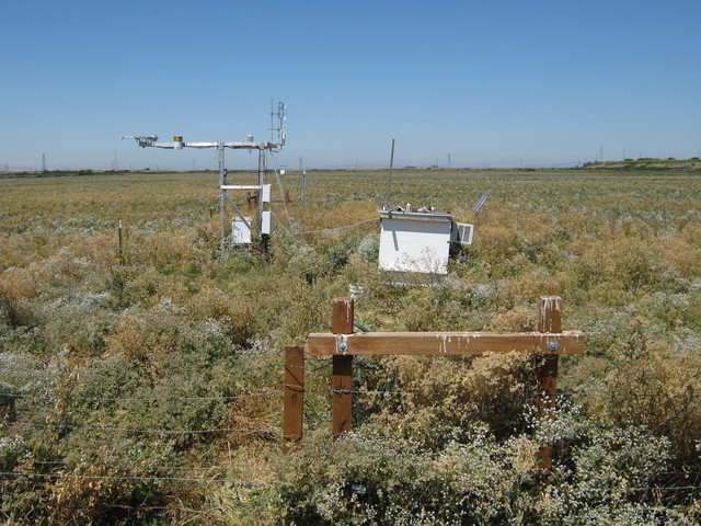 Sherman Island pasture eddy tower and box